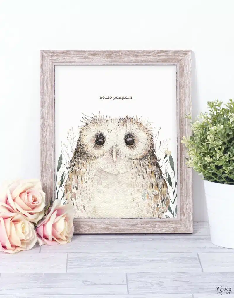 fall decor of an owl in a frame 