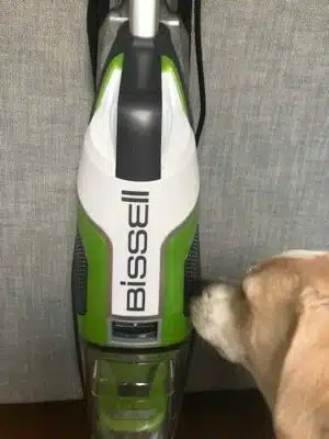 Bissell vacuum with a puppy smelling it