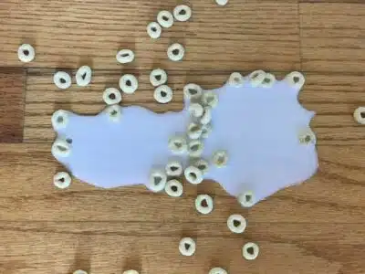 spilled cheerios and milk on a hardwood floor