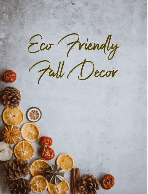 Eco-Friendly Fall Decor