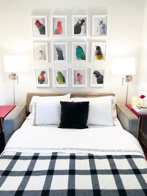a guest room with avian artwork