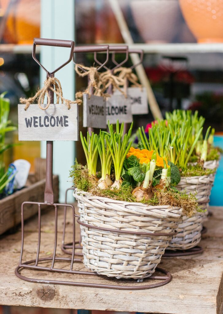 spring bulbs in baskets with a welcome sign