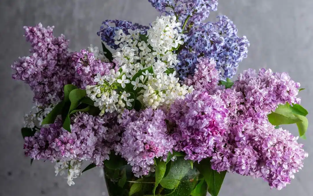 How To Make The Gift Of Flowers More Meaningful