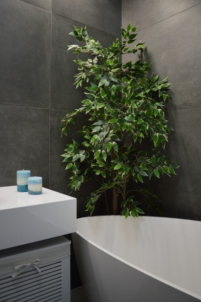 a dark bathroom with a tub and green plant